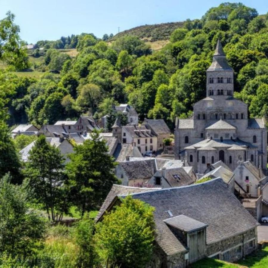 Iris, Gite Saint Antoine, Orcival, Entre Sancy Et Volcans D'Auvergne Экстерьер фото